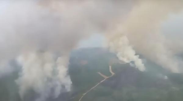 Italia. Sute de incendii de vegetaţie provocate de neglijenţă sau cu rea intenţie. Toate forţele de ordine, mobilizate
