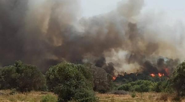 INCENDII majore în Grecia: turiștii dintr-o parte a insulei Rhodos au fost evacuați
