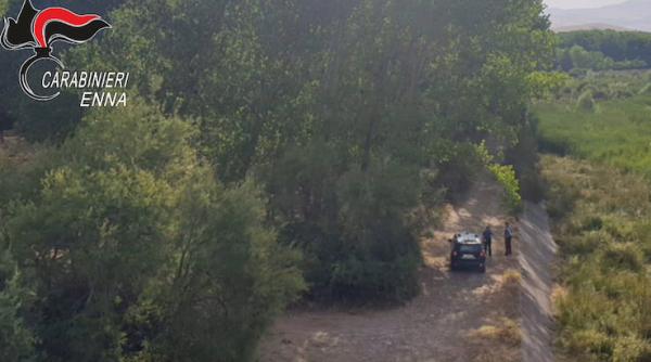 Italia. Primele arestări după valul de incendii: Prinși când se pregăteau să aprindă focul într-o zonă protejată