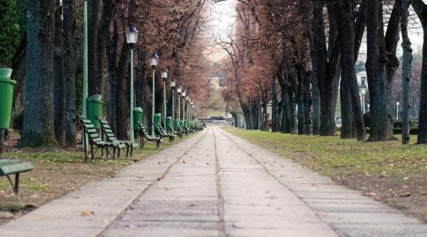 Parcuri din Bucureşti, evacuate şi închise din cauza vijeliilor