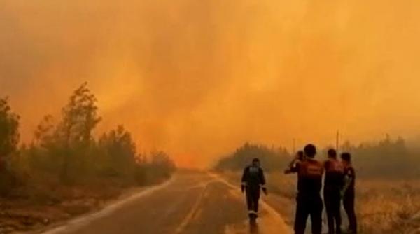 Turcia luptă de 11 zile cu incendiile: 13 zone ard necontrolat. Bilanţul creşte la opt oameni morţi în urma incendiilor