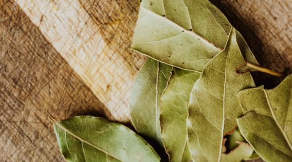 Câteva frunze de dafin, ulei de măsline și fulgi de ovăz: Rețeta simplă și secretă a zeițelor din Grecia a fost aflată