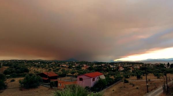 Dezorientate de incendiile de vegetaţie, berzele migratoare mor în timp ce traversează Grecia