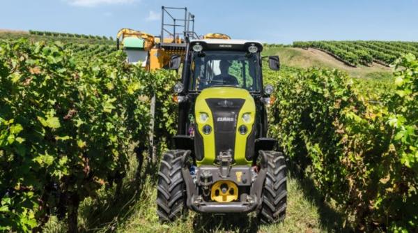 Portugalia. Mai mulți moldoveni, exploatați pe câmpurile agricole. Oamenii nu sunt plătiți și au rămas și pașapoarte 