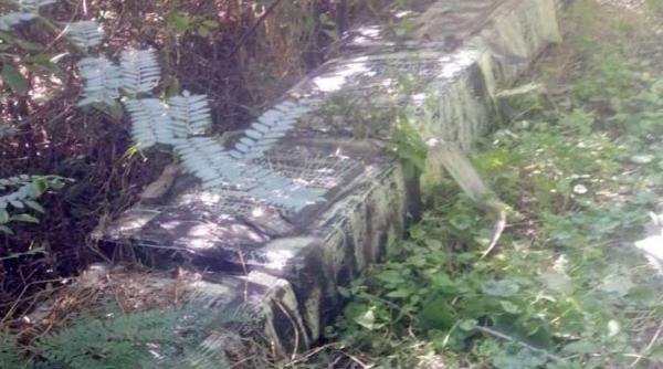 O adevărată comoară, găsită de polițiștii de frontieră. Era ascunsă în vegetaţia de la malul Prutului  