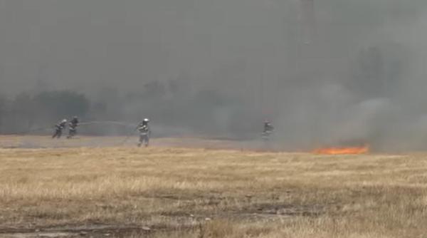 Incendiile de vegetație pot să aducă România oricând în situația Greciei. Pompierii au stins hectare întregi, peste noapte