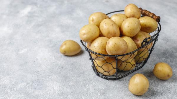 România, al şaptelea producător de cartofi din UE