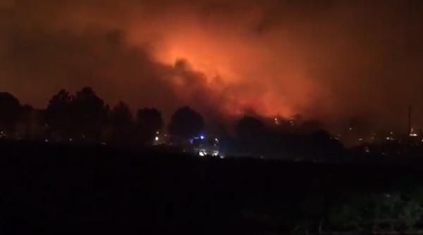 Franța mistuită de flăcări. Doi oameni au murit. Macron: „Efort național pentru stingerea acestui mare incendiu de vegetație“ 