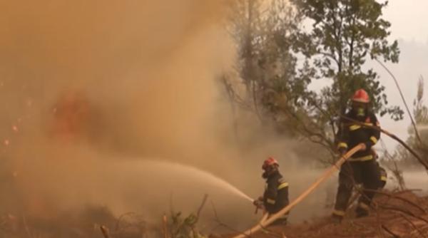 Incendiile continuă să mistuie Grecia: „Nu știm ce ne va aduce ziua de mâine. Suntem cu toţii disperaţi”