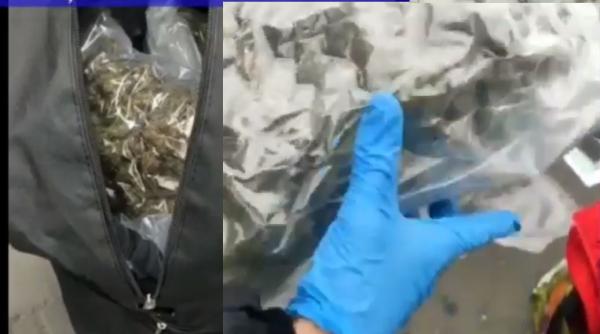 Droguri venite din Spania, confiscate la Bistrița Năsăud