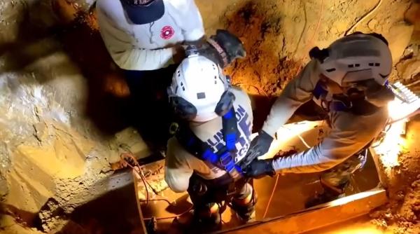 Un câine surd, dispărut în urma inundațiilor, a fost salvat de pompieri dintr-o țeavă de canalizare (Video)