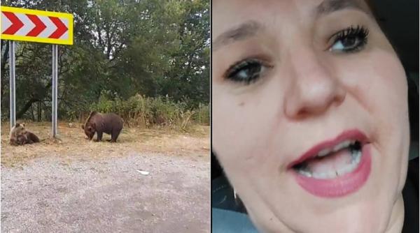 Diana Șoșoacă s-a transformat în avocata urșilor. Senatoarea i-a certat pe localnici că-i alungă, în loc să-i hrănească - VIDEO