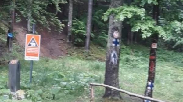 Austria. Un român a răpit, jefuit, mutilat și amenințat cu moartea cu cunoscut rapper: Alte 36 de victime, descoperite ulterior