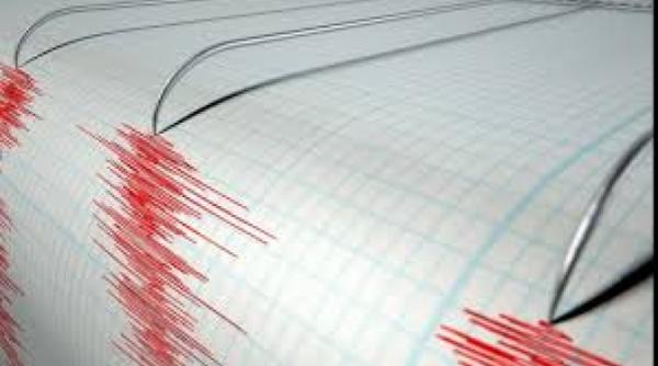 Cutremur în România, în urmă cu scurt timp. Update