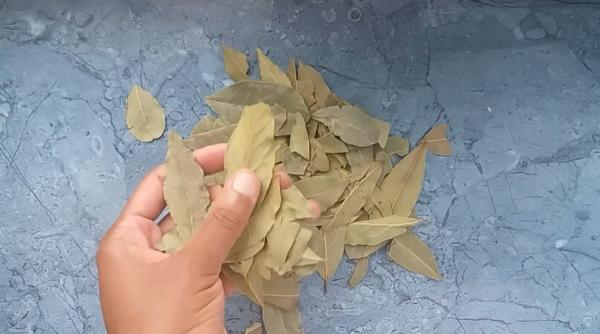 Frunzele de dafin - medicul la îndemână din dulap: Adăugă o linguriță de oțet de mere iar rezultatul te va șoca