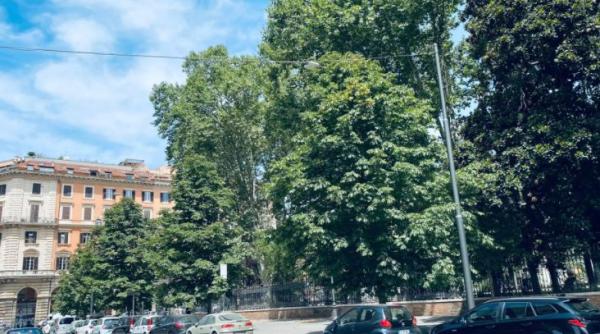 Italia. Două românce s-au bătut în centrul Romei din cauza unui bărbat. Femeile și-au împărțit, fără milă, pumni și picioare