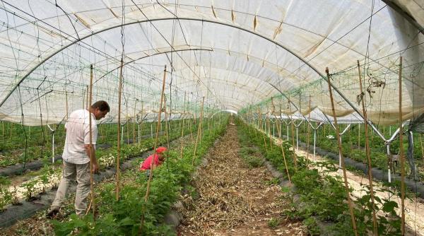 Un pas spre normalitate. Deocamdată doar proiect. Beneficiarii de ajutor social vor pierde acest drept dacă refuză un loc de muncă