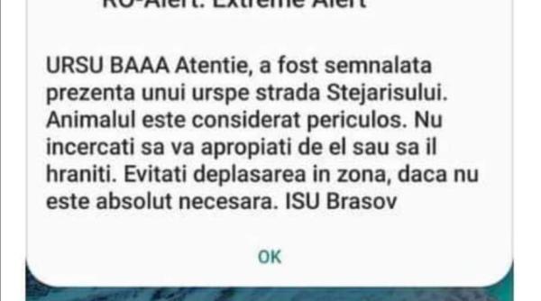 RO-Alert o dă în veselie:„ Ursul, băăă!”. Ce mesaj au primit brașovenii