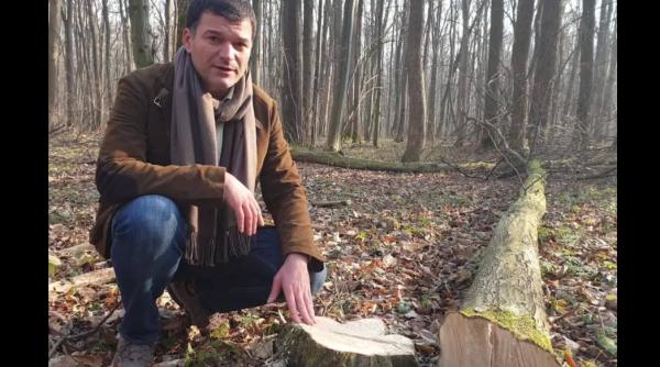 Șeful Gărzii de Mediu, Octavian Berceanu, demis de premierul Florin Cîțu