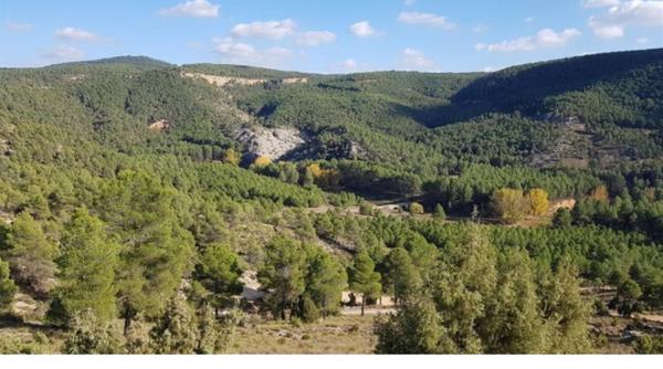 Spania. Un român, dat dispărut de soție, găsit rănit, dezorientat și desculț