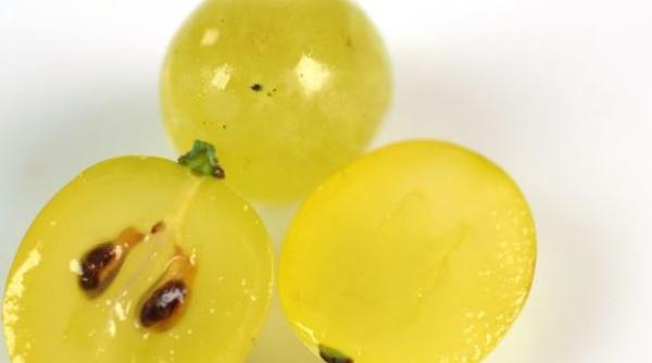 Nu aruncați niciodată sâmburii de strugure. Au zeci de beneficii pentru sănătate