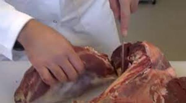 Olanda. Un român, concediat pentru că a întrebat cât e ora. Inspectorii de muncă au dat primele amenzi