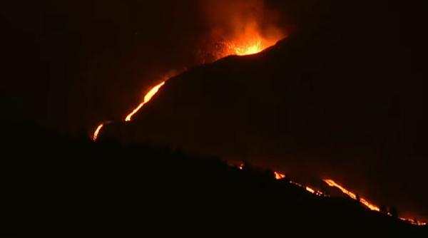 Spania. Animalele de companie, rămase captive în La Palma, hrănite cu ajutorul dronelor