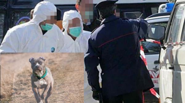 Italia. Bătrână de 89 de ani, ucisă de câinii vecinilor. Adriana, badanta femeii, credea că e în pat și nu auzit-o când a ieșit din casă