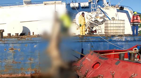 Exportul de animale vii din România ar putea fi interzis, după ce unele au dus la adevărate masacre. S-ar putea crea 4.000 de locuri de muncă