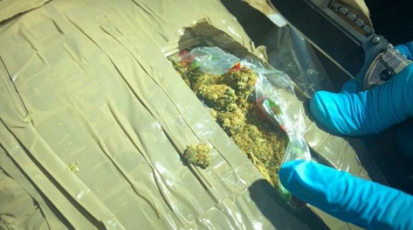 3,7 kilograme de cannabis și alte droguri, descoperite în locuințele a doi români