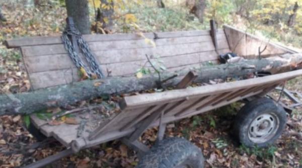 Un muncitor este în stare gravă la spital, după ce a fost strivit de un copac 