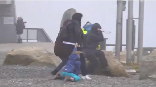 Furtuni puternice în Germania: Copaci doborâți, mașini și clădiri avariate - VIDEO