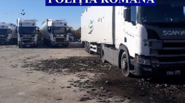 Cinci tiruri pline cu gunoi, adus ilegal, din Italia au ajuns în România. Polițiștii au întocmit dosar penal