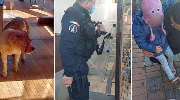 O fetiță și bunicii săi, atacați de cei doi câini Amstaff, pe care familia îi creștea în curte  