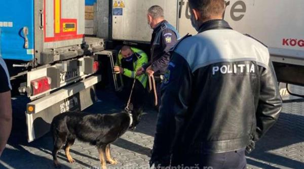 Zeci de cetățeni străini, găsiți ascunși într-o pensiune din Timișoara și și în parcările pentru camioane de pe A1