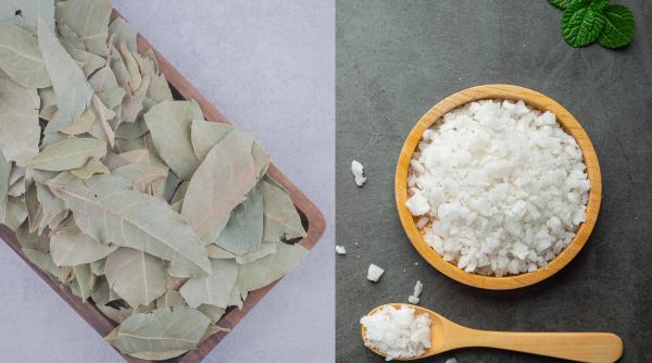 Cum să curățați casa cu frunze de dafin și sare. Un truc secret, folosit de preotese în vremuri străvechi