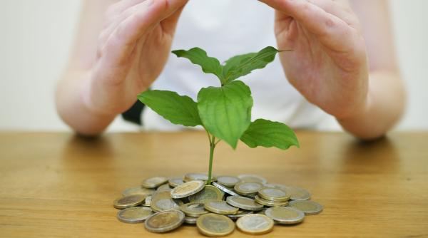 10 obiecte care îți aduc bogăție și noroc în casă. Trebuie neapărat să le ai aproape