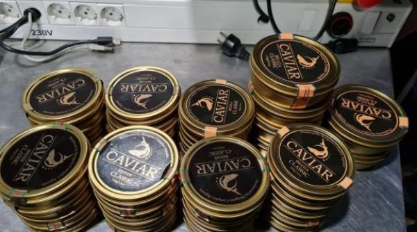 Autocar cu români în drum spre Franța, blocat în Ungaria: Unul dintre pasageri era „căptușit“ cu mai multe kilograme de icre negre