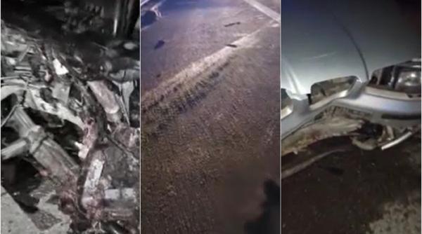 La un pas de tragedie pe Autostrada Soarelui: Turmă de porci, spulberată de mașini