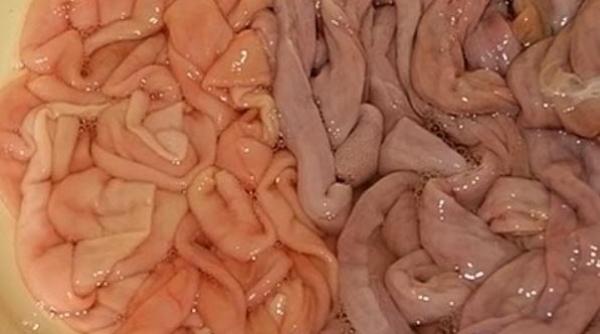 Zeci de tone de mațe de porc cu doză triplă de antibiotic urmau să ajungă în supermarketuri. Au fost oprite în Portul Constanța