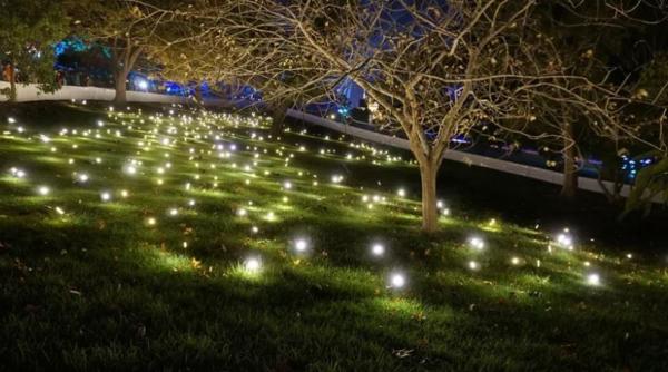 Mesaje și licurici pentru Diaspora la Cluj, într-o ediție specială Lights On România