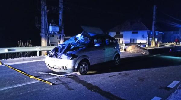 Româncă de 65 de ani, moartă după ce a fost spulberată de o mașină care a evitat doi boi, la Bistrița Năsăud