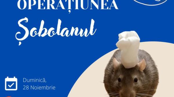 ANPC în "Operațiunea șobolanul": Patiserie din București închisă, după ce un șobolan a fost filmat printre rafturi - VIDEO