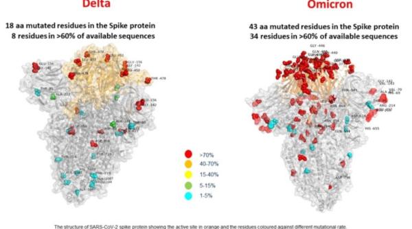 Italienii au făcut publică prima "imagine" cu Tulpina Omicron: Se evidențiază numărul semnificativ de mutații