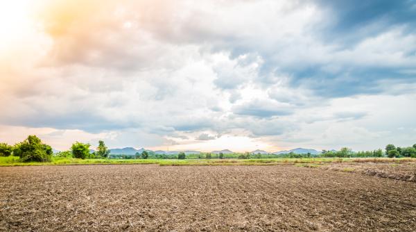 Eurostat: Un hectar de teren costă mai mult în România faţă de Franţa sau Ungaria