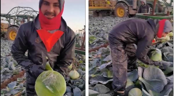 Muncitor român din Anglia, mesaj pentru prietenii de acasă: „Stați voi cu mine prin gheața asta, să vă dau bere, de Crăciun, când vin acasă“ (VIDEO)