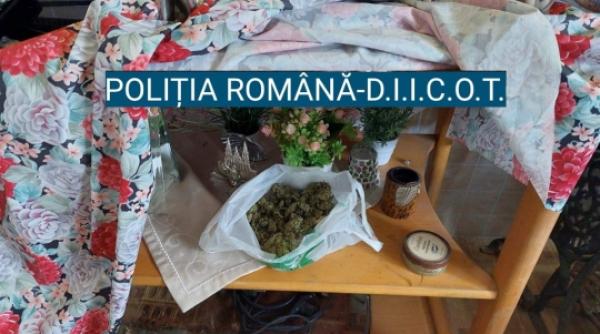 Rețea de traficanți care aducea droguri din Spania, destructurată de DIICOT