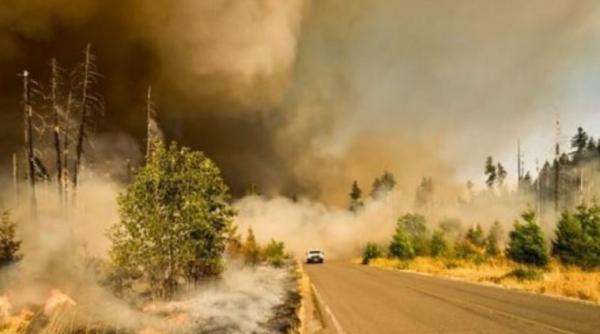 Omenirea va avea propria cutie neagră. Structura va monitoriza prăbuşirea civilizaţiei umane