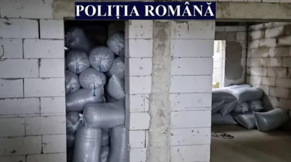 Român, arestat preventiv pentru furtul a peste 12 tone de semințe de floarea-soarelui de pe o barjă