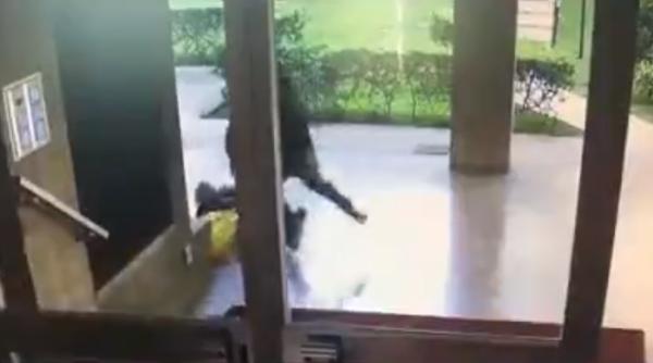 Austria. Patru români au maltratat un conațional. L-au lovit cu tigaia în cap și i-au mușcat urechea